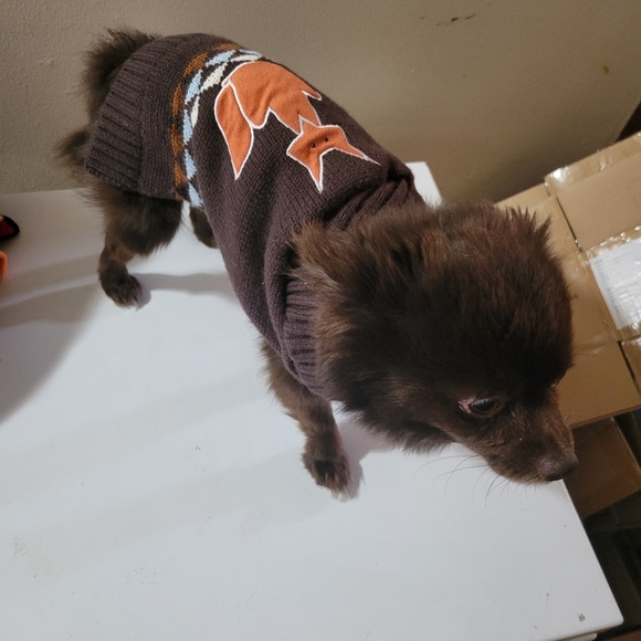 Live Love Bark Small Dog Sweater - Picture 8 of 9